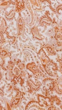 Prague Maxi Dress - Natural Paisley