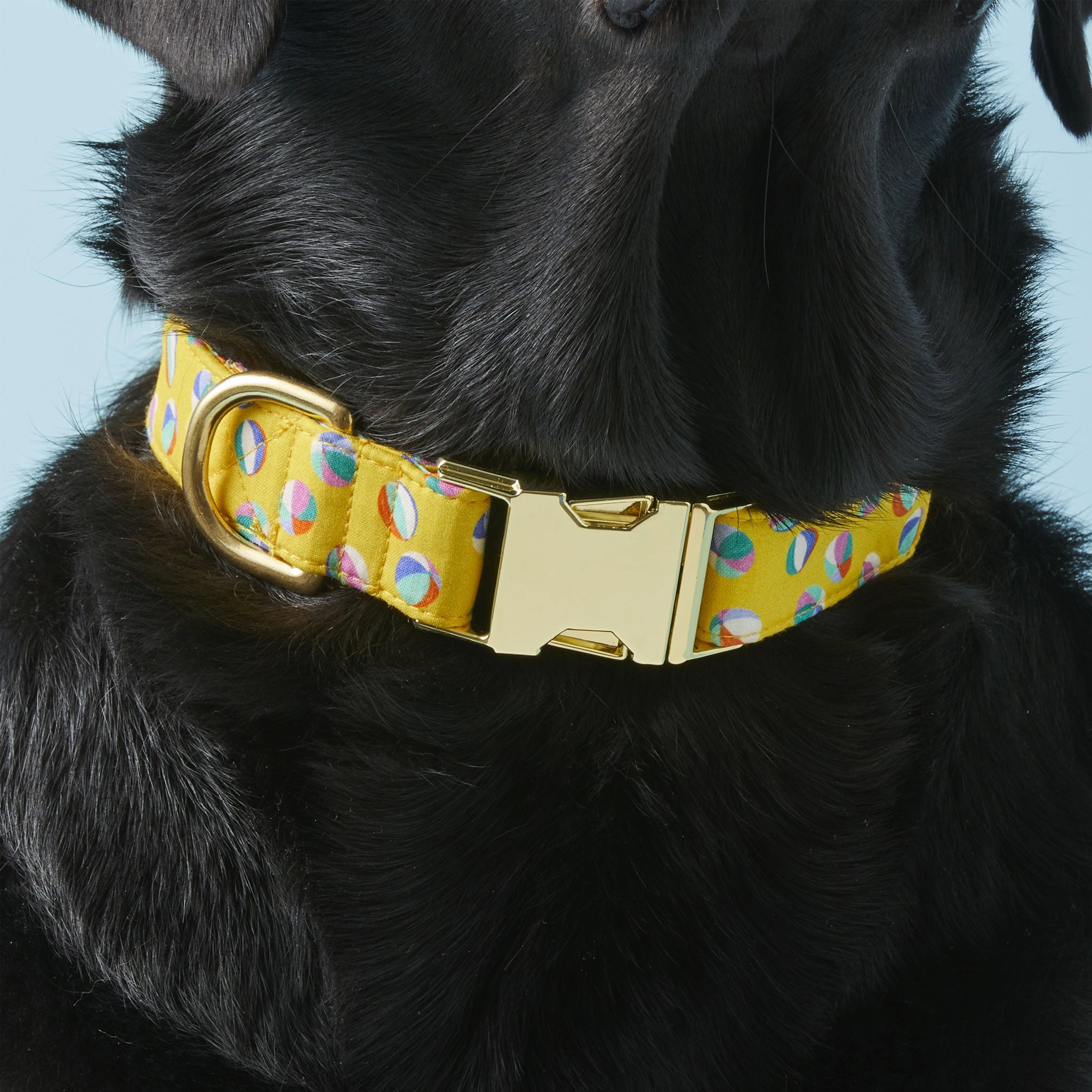 The Foggy Dog Collar - Beach Balls